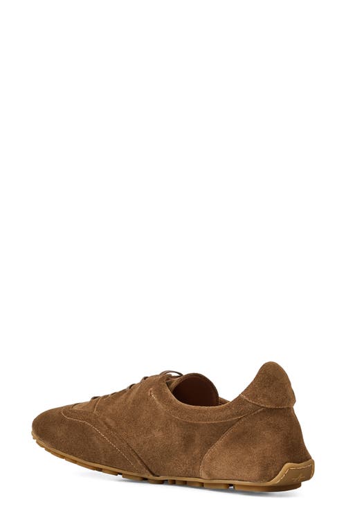 Aquatalia Qrystal Water Repellent Sneaker In Brown