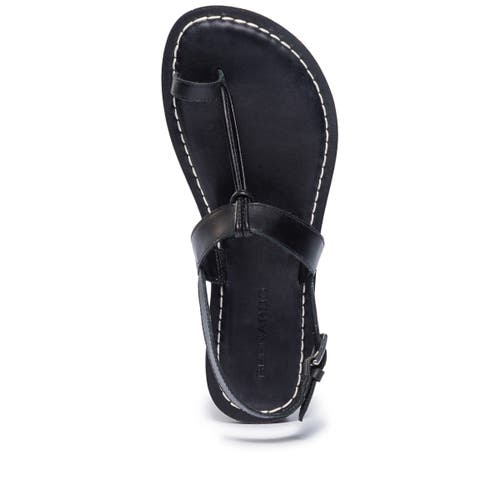 Shop Bernardo Footwear Maverick 2 Toe Ring Sandal In Black