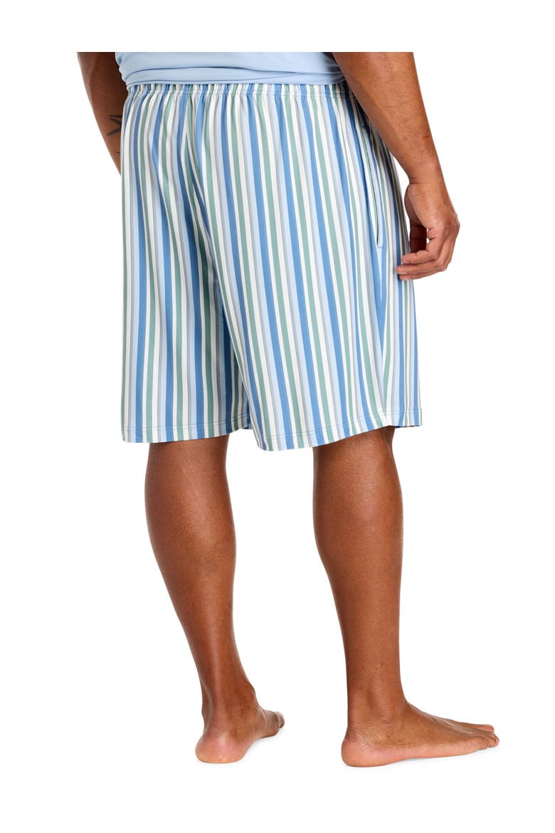 Big & Tall Performance Striped Lounge Shorts, Alternate, color, MULTI