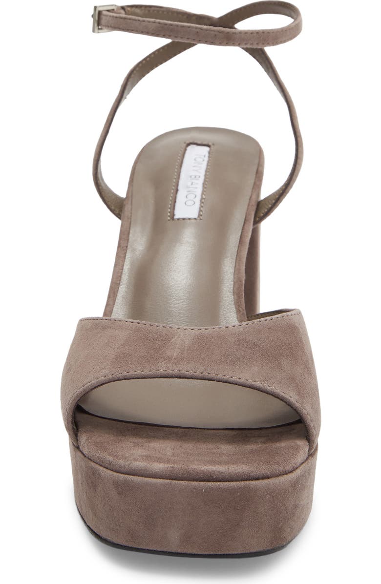 Tony Bianco Freya Ankle Strap Slide Sandals, Alternate, color, Ashen Suede