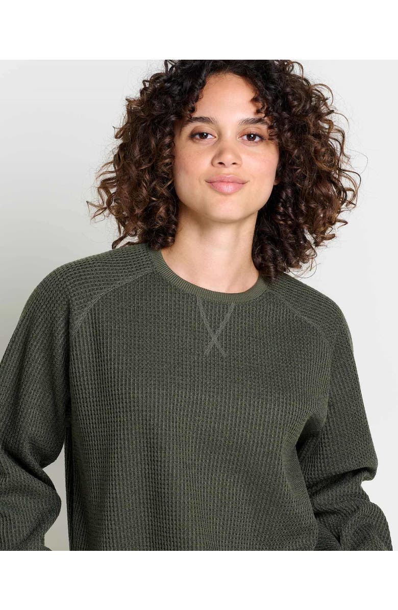 Toad & Co Bitterroot Long Sleeve Pullover, Alternate, color,