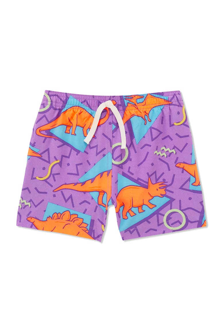 The Classic Jurassic Swim Trunks, Main, color, PURPLE DINOS