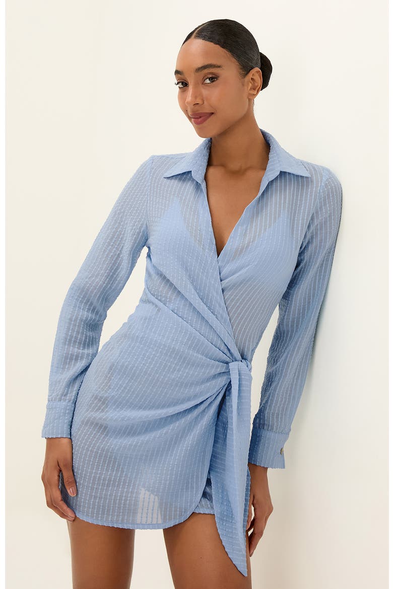 Lia Long Sleeve Cotton Cover-Up Dress, Alternate, color, BLUE
