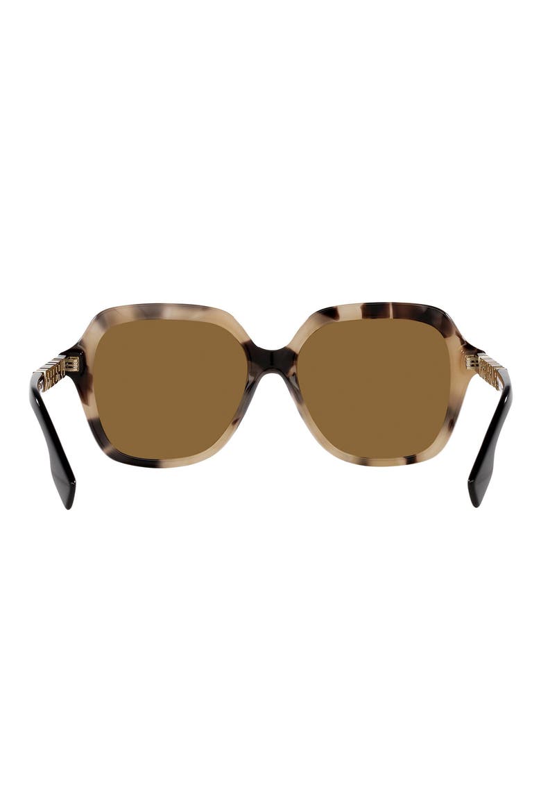 Joni 55mm Square Sunglasses, Alternate, color, SPOTTED HORN