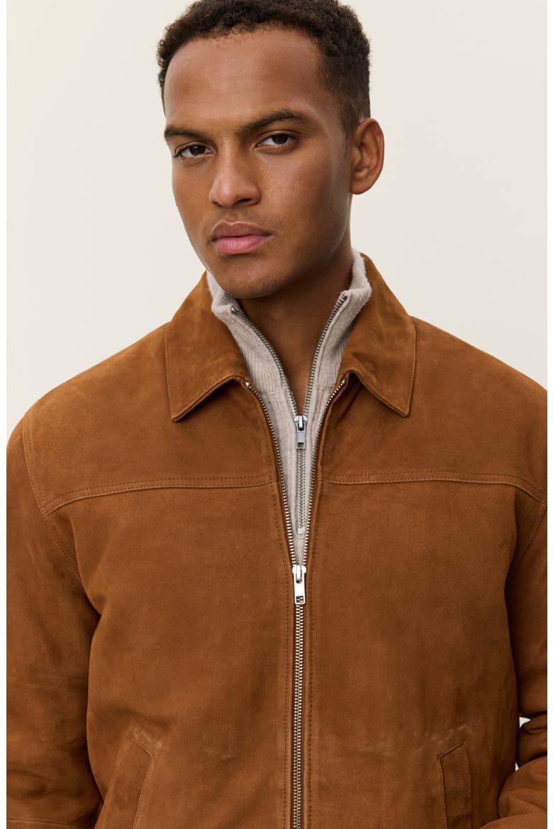 Nyle Goatskin Suede Coach's Jacket, Alternate, color, BROWN