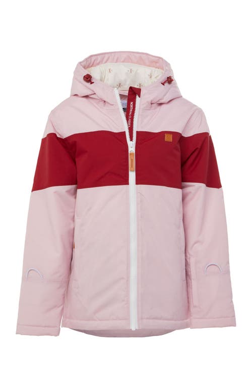 Northern Classics Babies' Girls Winter Coat In Pink