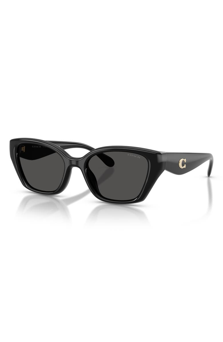 COACH 53mm Irregular Sunglasses, Alternate, color, Black / Grey Solid