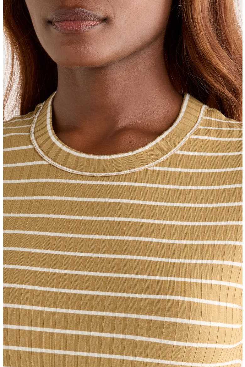 Luca Stripe Rib Baby T-Shirt, Alternate, color, KHAKI