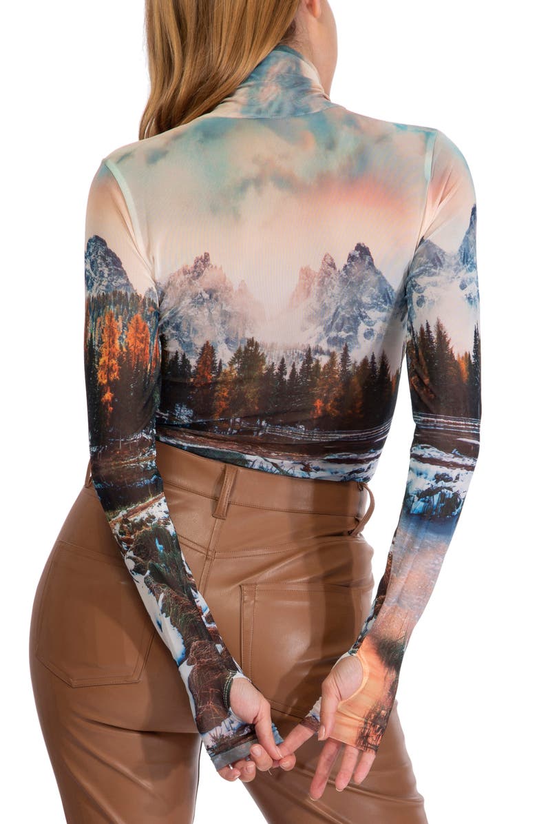 AFRM Zadie Semisheer Turtleneck, Alternate, color,