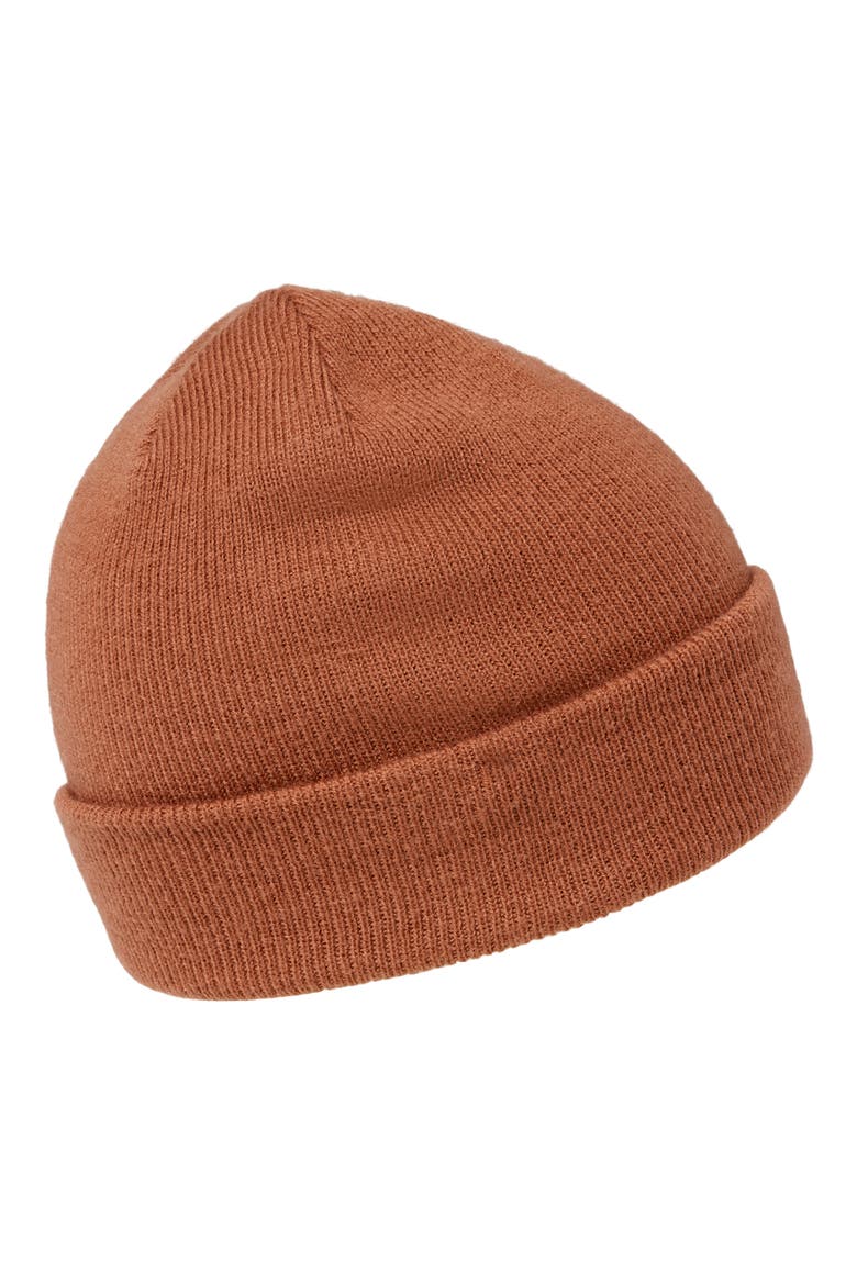 Cloud Ribbed Beanie, Alternate, color, MAPLE