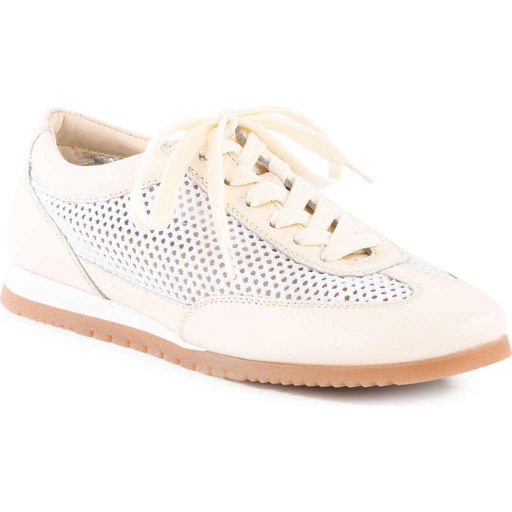 SEYCHELLES SEYCHELLES NAPLES SNEAKER