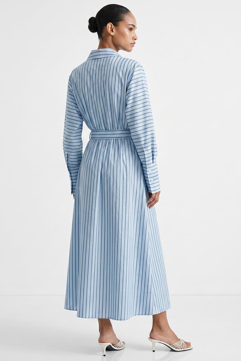 Bogie Raglan Sleeve Belted Midi Dress, Alternate, color, Multi Color
