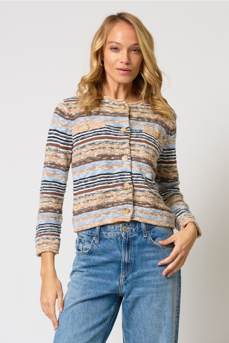 Marlon Textured Stitch Cardigan, Main, color, Brown/Blue Multi
