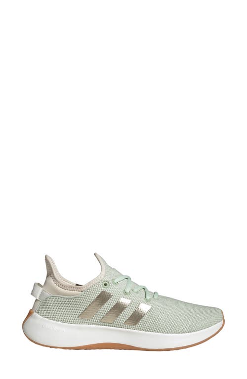 Adidas Originals Adidas Cloudfoam Pure Running Shoe In Linen Green/green Met./white