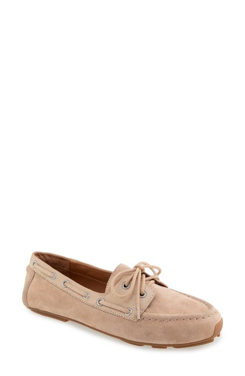 GENTLE SOULS BY KENNETH COLE GENTLE SOULS MARINA MULE 