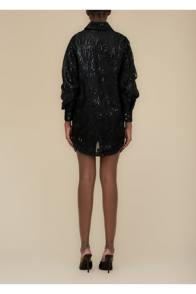 Wicca Sheer Oversized Embroidered Tulle Dress, Alternate, color, Black