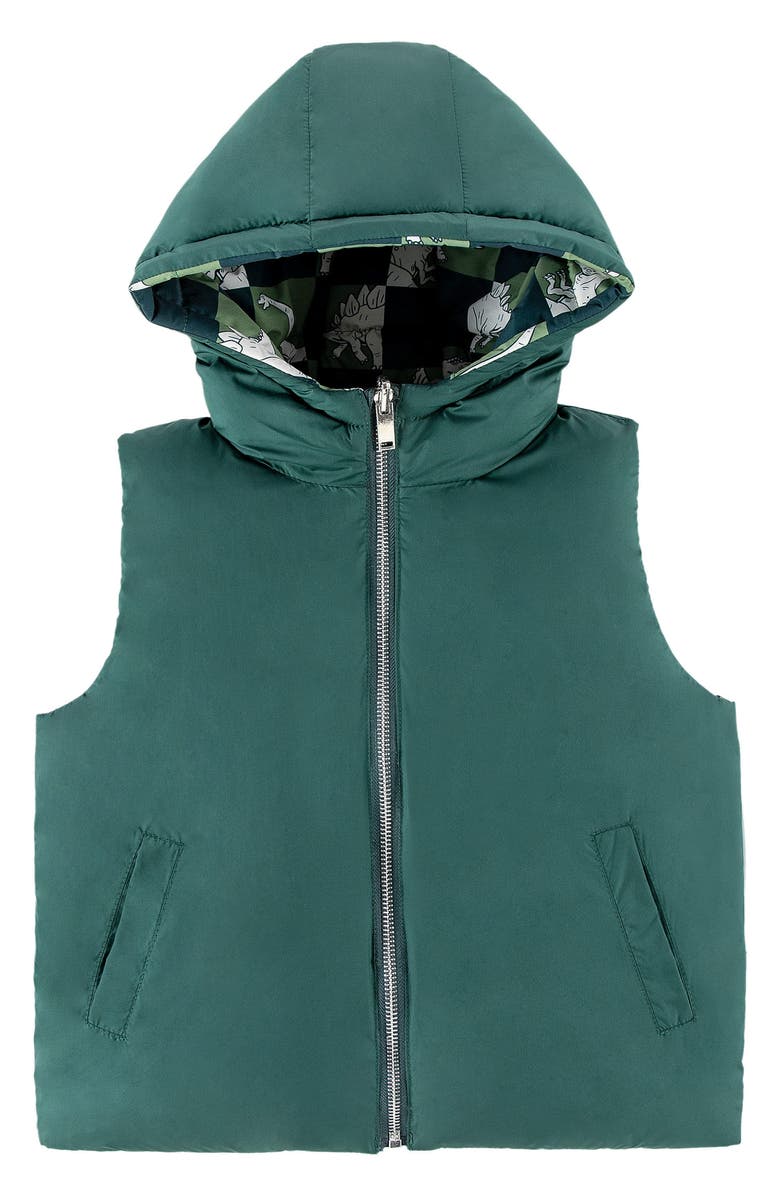 CALONIE Kids' Dylan Reversible Down Hooded Puffer Vest, Alternate, color, Olive