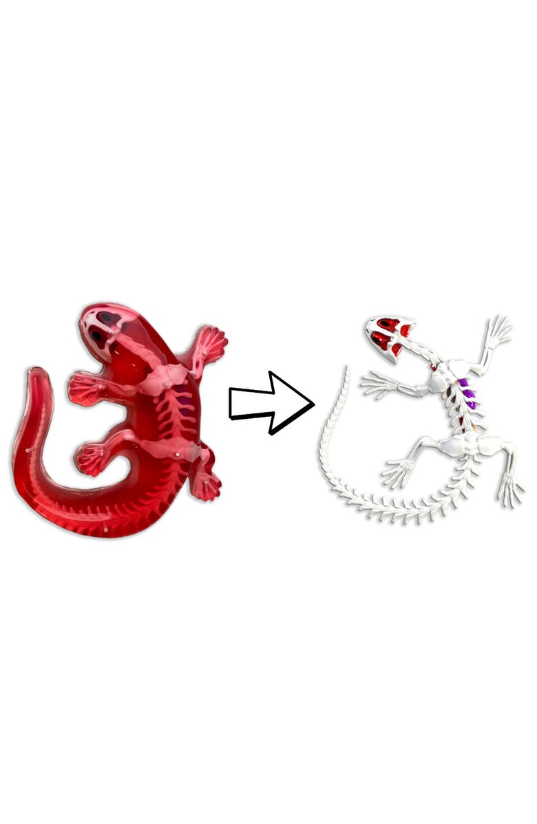 Dissect-It Dissect It Salamander Lab Synthetic Dissection Kit, Alternate, color, 