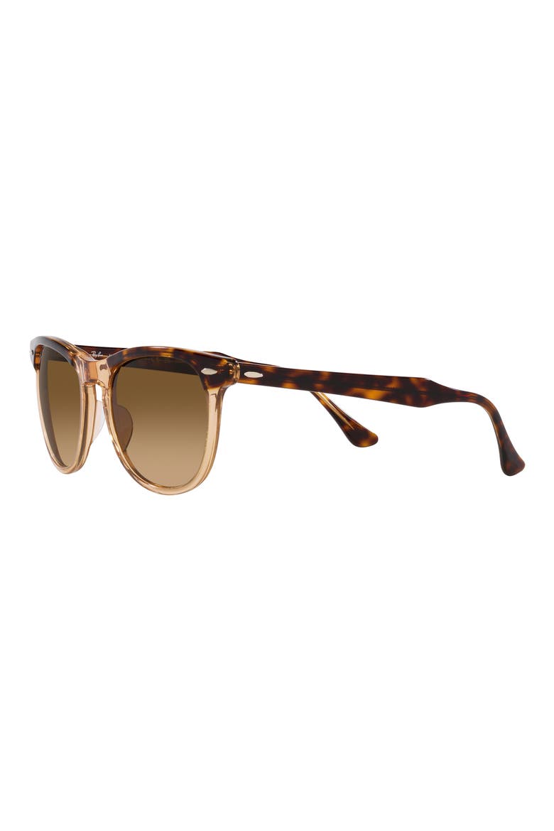 Eagle Eye 53mm Polarized Pillow Sunglasses, Alternate, color, HAVANA