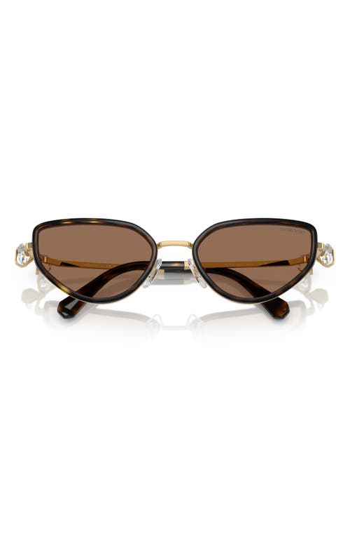 Swarovski 56mm Irregular Sunglasses In Black/gold Havana