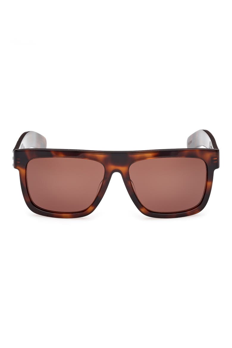 56mm Navigator Sunglasses, Main, color, DARK HAVANA/ BROWN