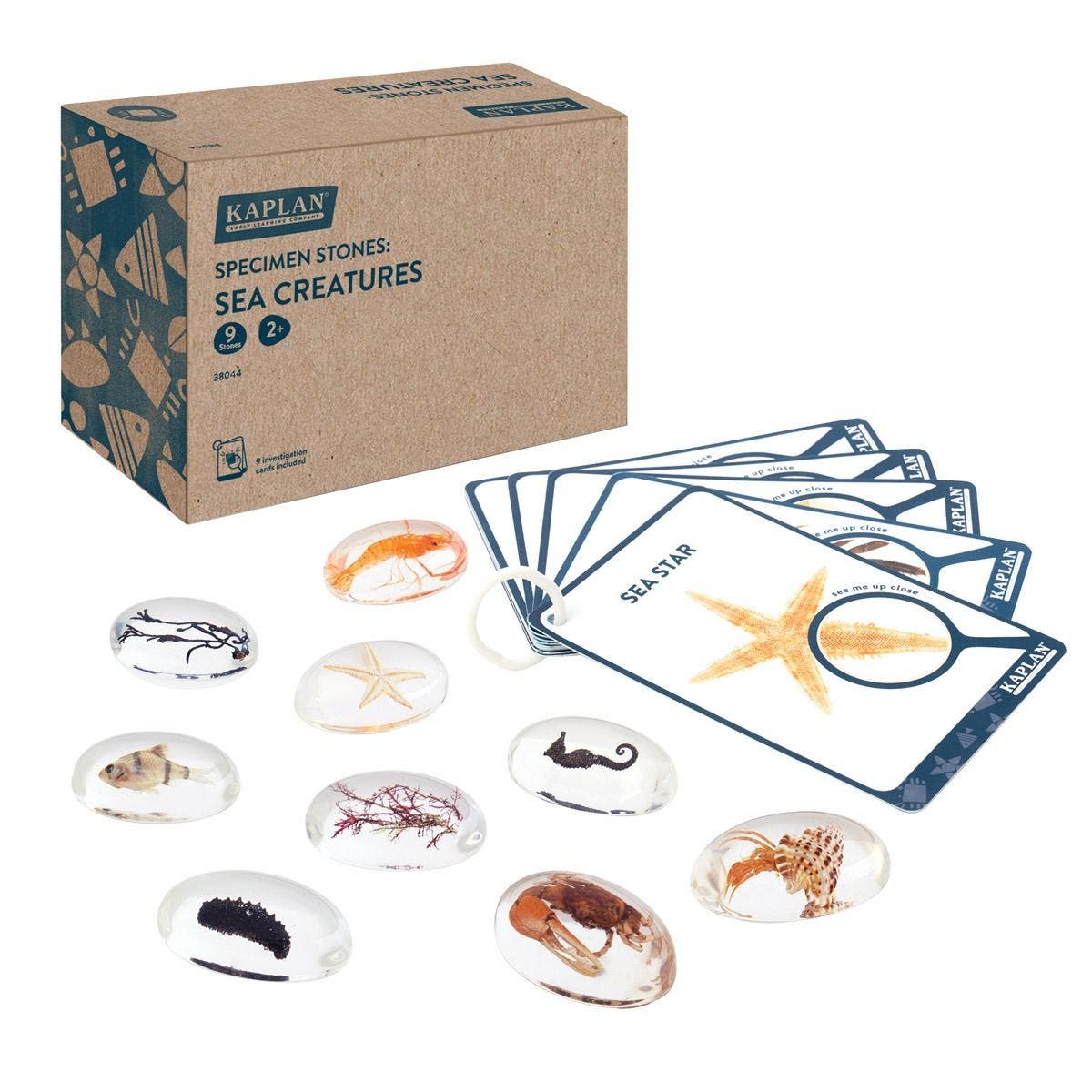 selected Clear