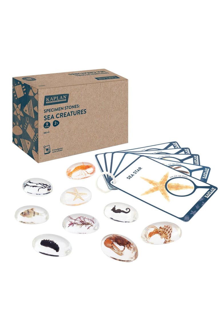 Specimen Stones Sea Creatures - 9 Pieces, Main, color, Clear