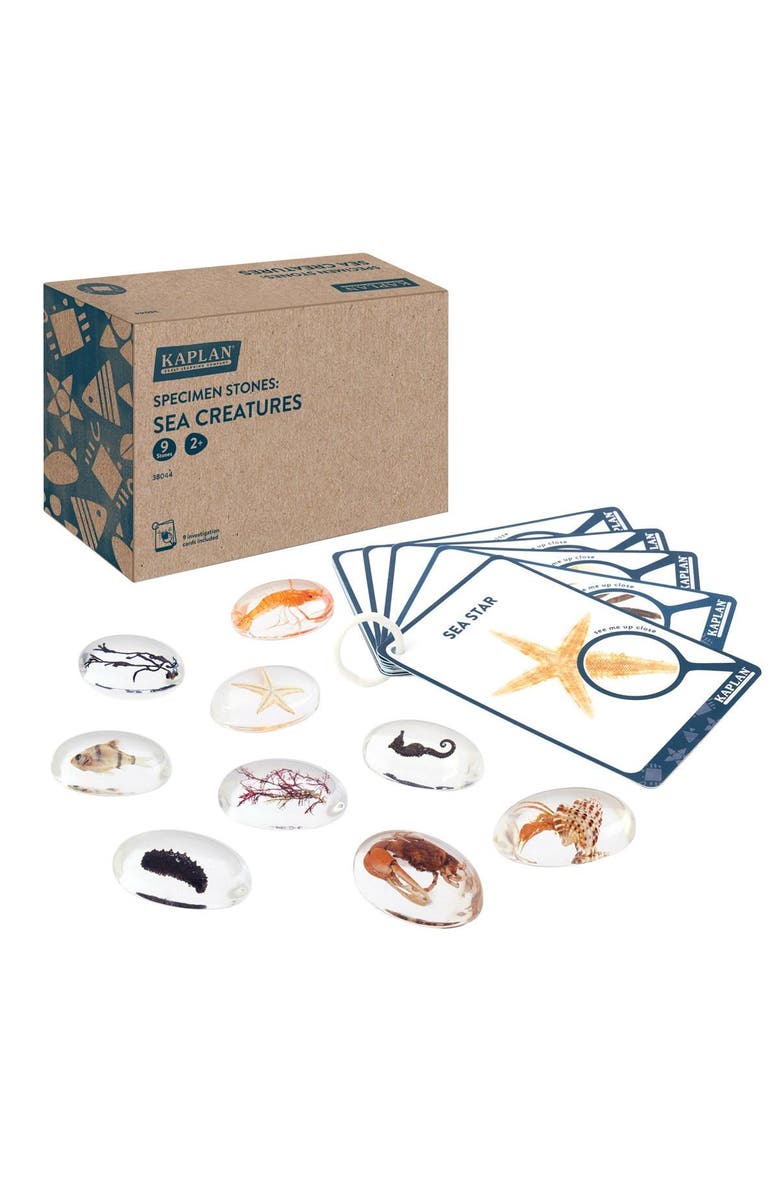 Kaplan Early Learning Company Specimen Stones Sea Creatures - 9 Pieces, Main, color, Clear