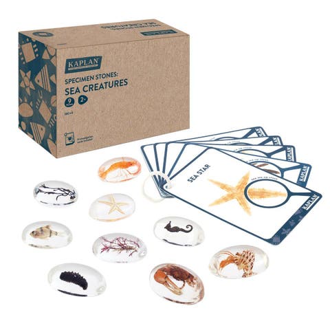 Specimen Stones Sea Creatures - 9 Pieces