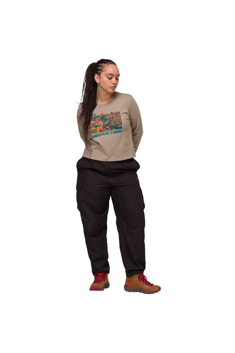 National Parks Collage Boxy Long-Sleeve T-Shirt - Women's, Alternate, color, Mushroom Grey