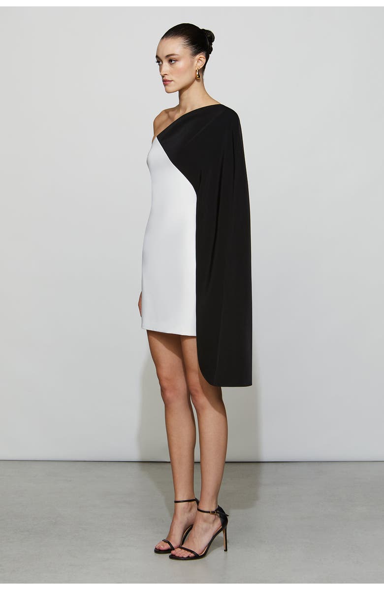 Et Ochs Erica Dress, Alternate, color, Black/Ivory