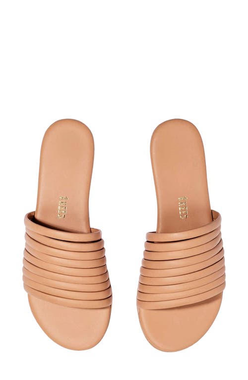 Tkees Caro Slide Sandal In Sand