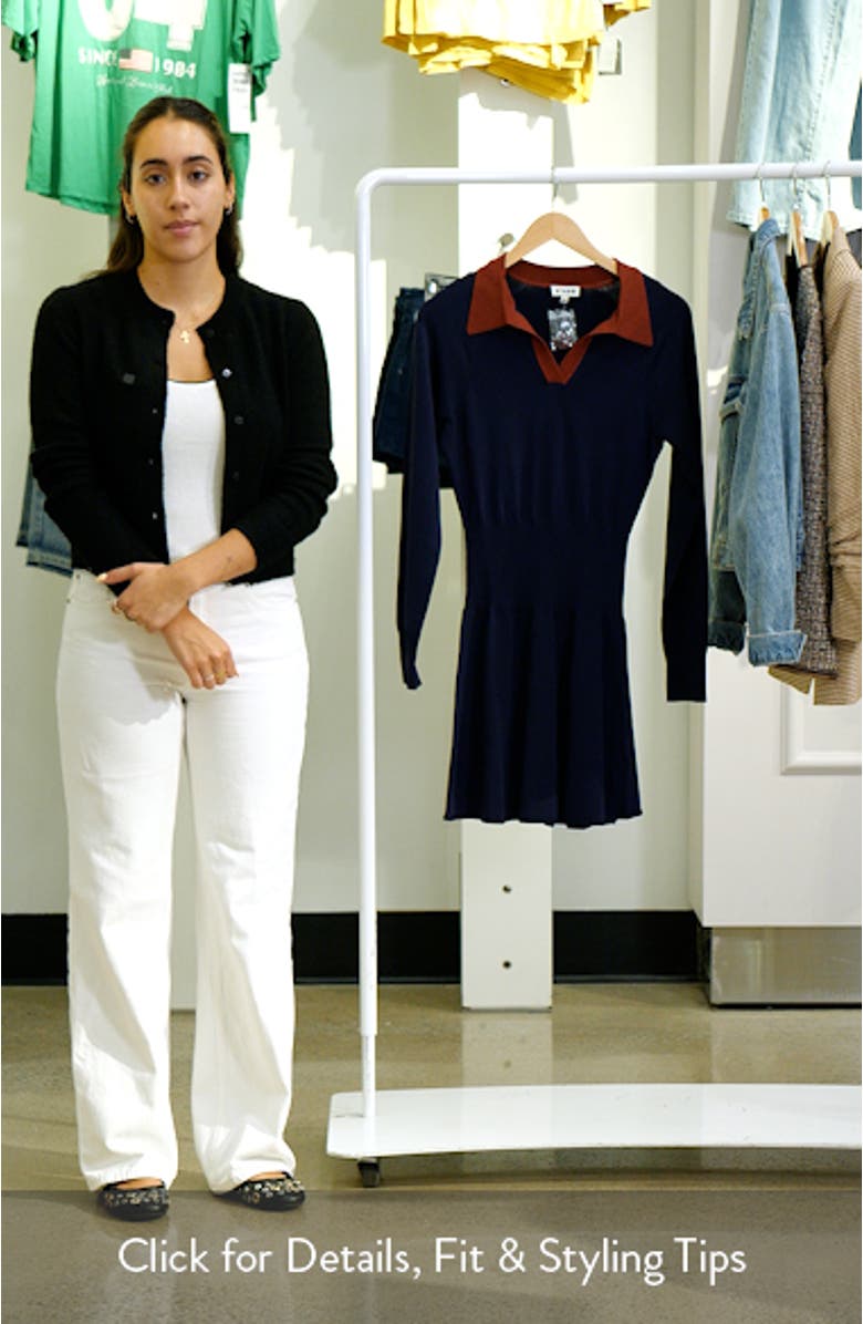 Gene Long Sleeve Polo Sweater Dress, sales video thumbnail