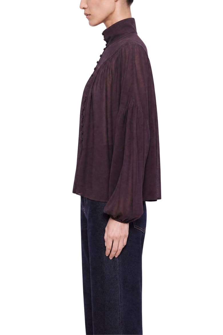 Gathered Sheer Blouse, Alternate, color, Brown