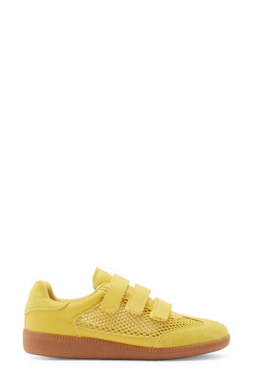 Steve Madden Momentum Sneaker In Yellow