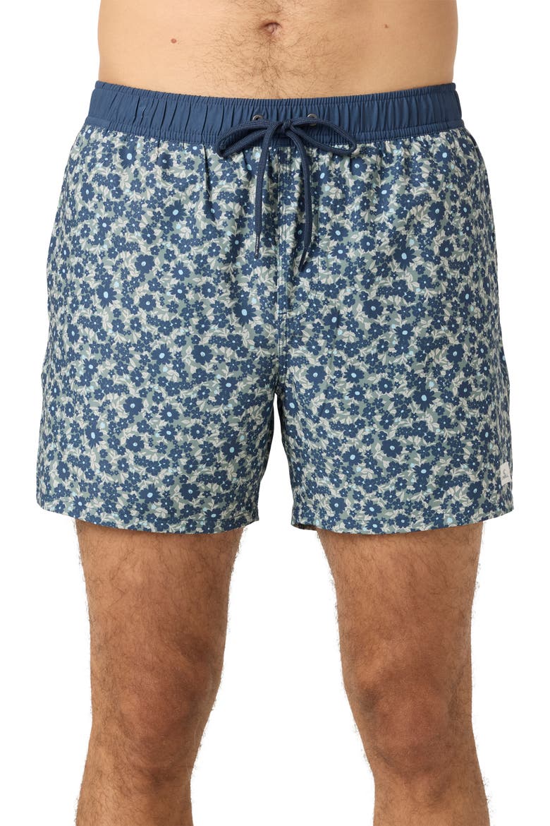 Hermosa Volley Swim Trunks, Main, color, SAGE