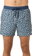 O'Neill Hermosa Volley Swim Trunks