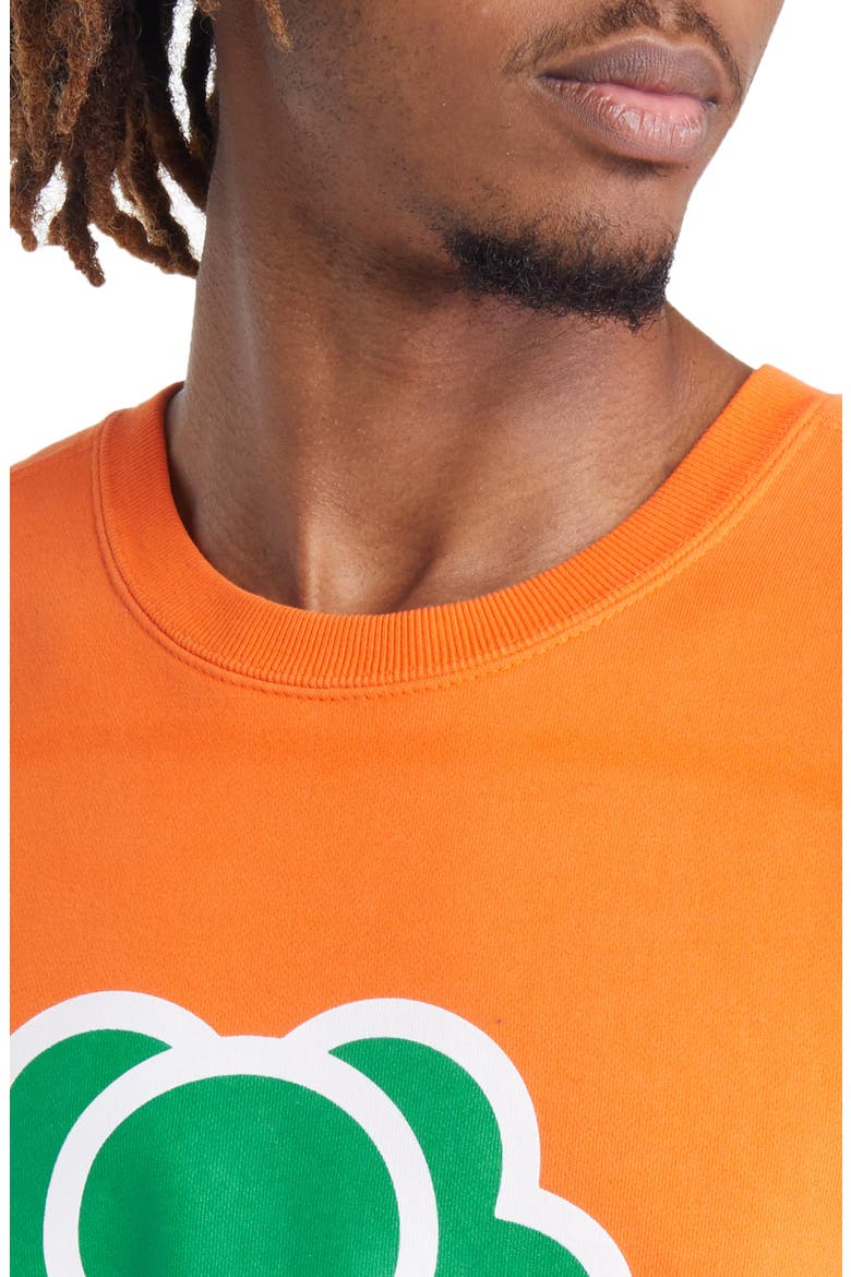 Home Graphic Crewneck Sweatshirt, Alternate, color, ORANGE