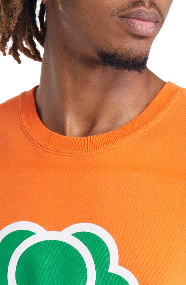 CARROTS BY ANWAR CARROTS Home Graphic Crewneck Sweatshirt, Alternate, color, 