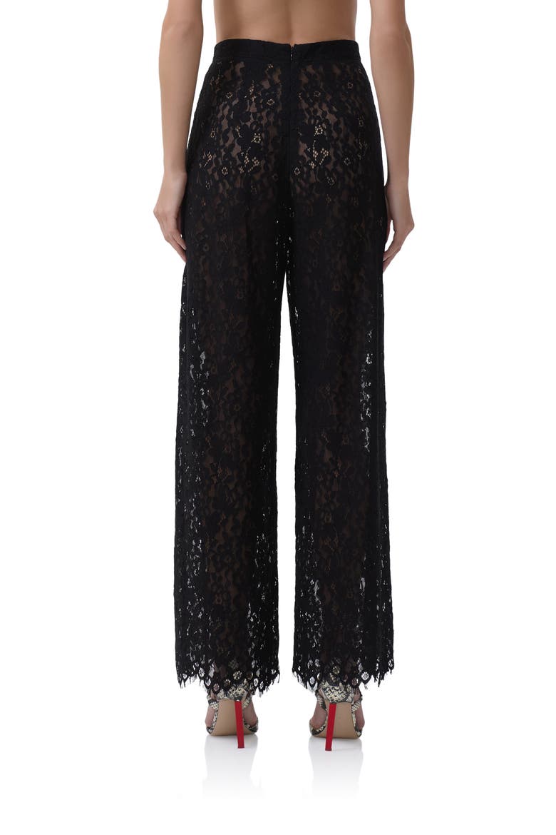 Pamela Sheer Lace Pants, Alternate, color, NOIR