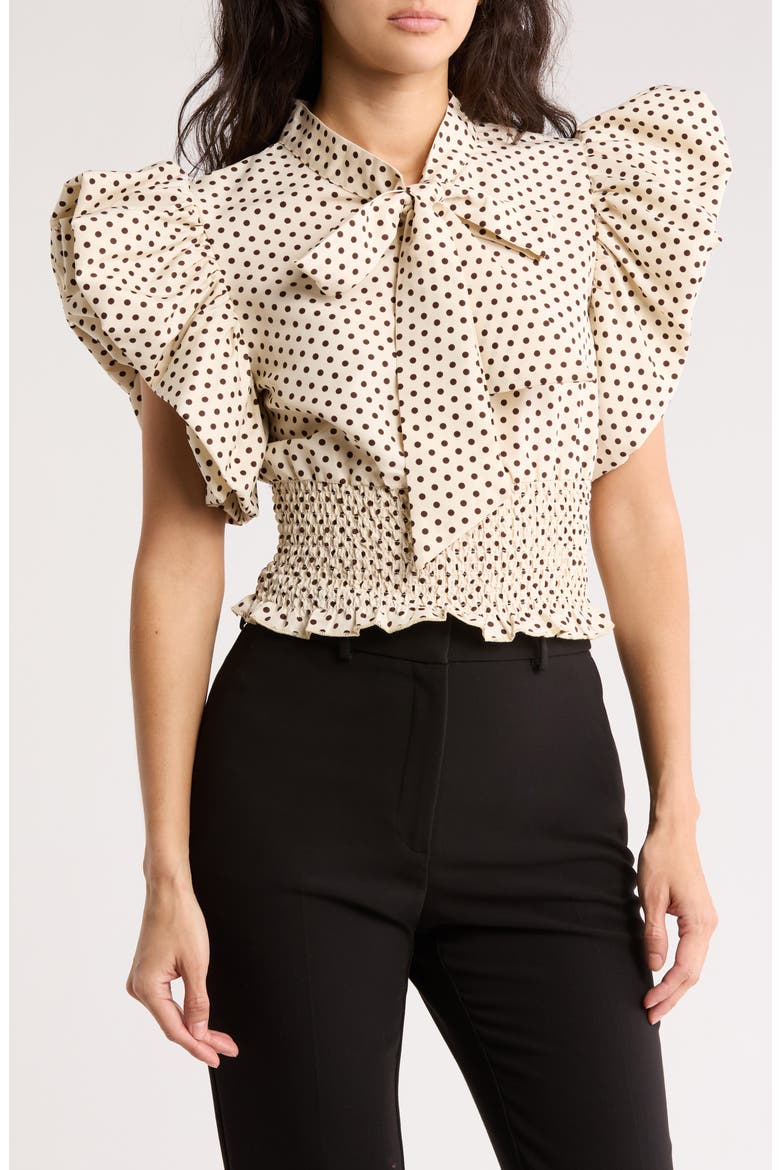 Dorothy Tie Front Ruffle Sleeve Crop Top, Main, color, DOROTHY DOT