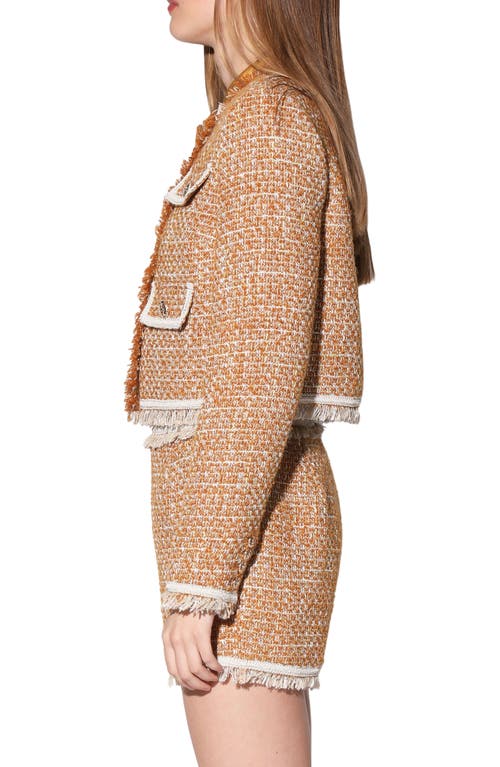 Walter Baker Leondra Cozy Fit Jacket In Honey Tweed