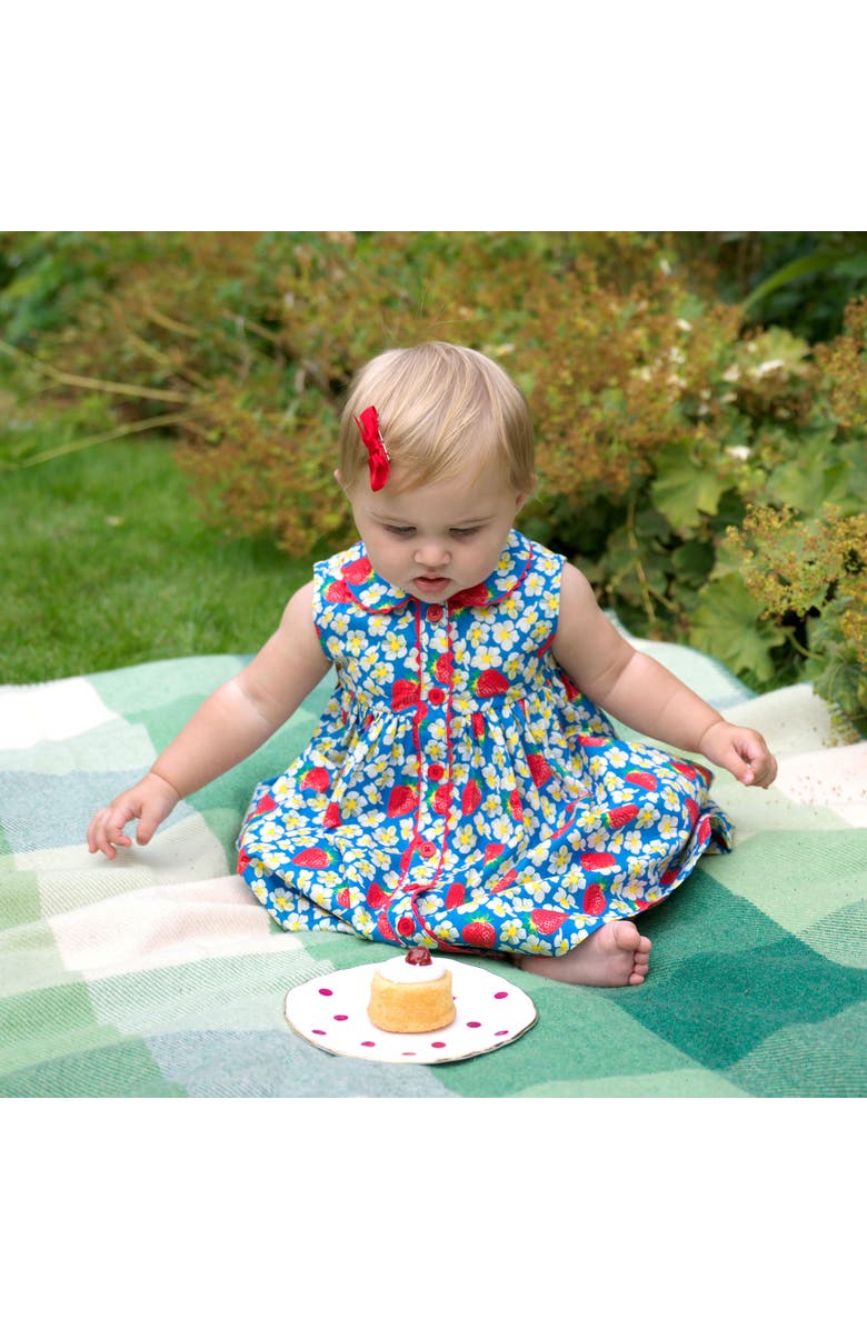 Rachel Riley Strawberry Button-Front Dress and Bloomers, Alternate, color, Blue