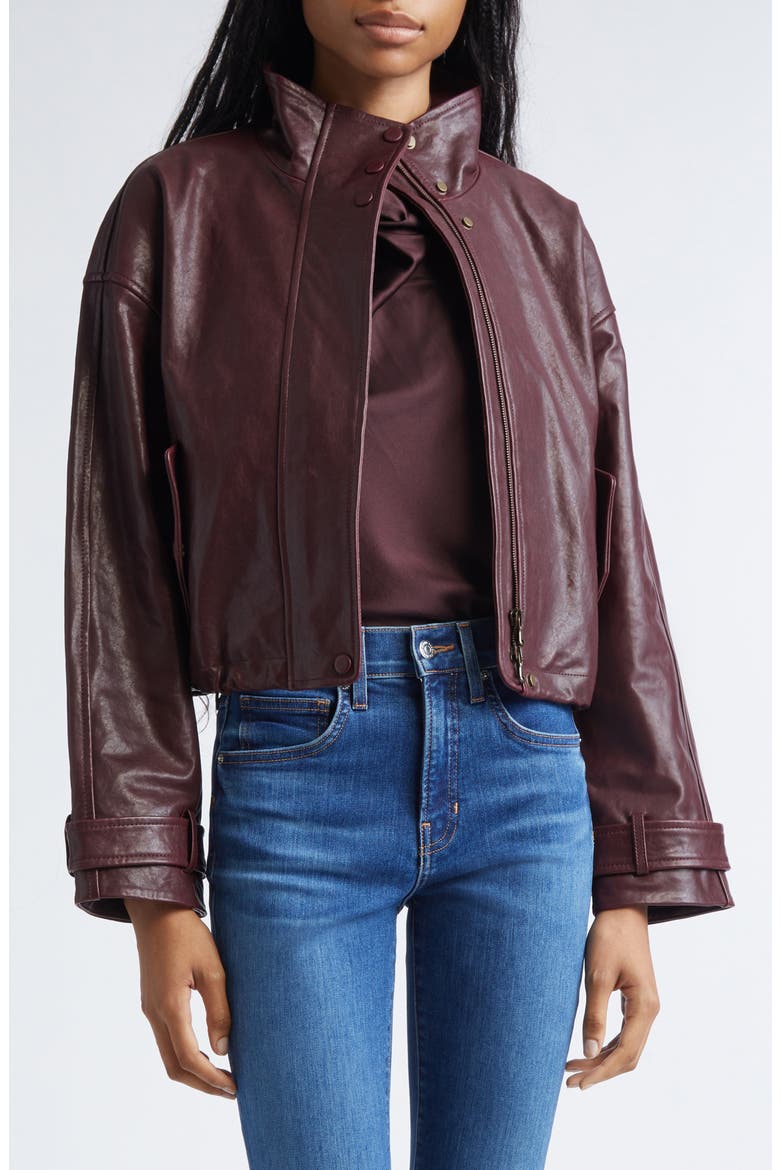 Bateman Leather Jacket, Alternate, color, RAISIN