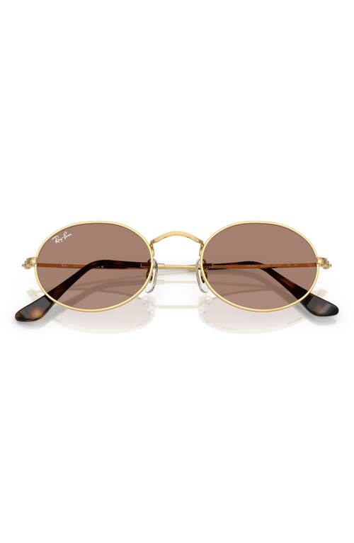 Ray Ban Ray-ban Oval 51mm Sunglasses In Arista Gold