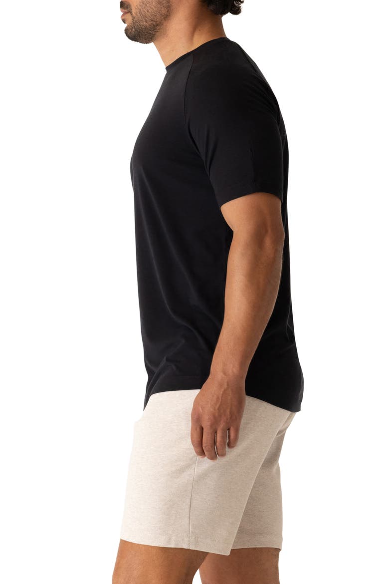Raglan Sleeve T-Shirt, Alternate, color, BLACK