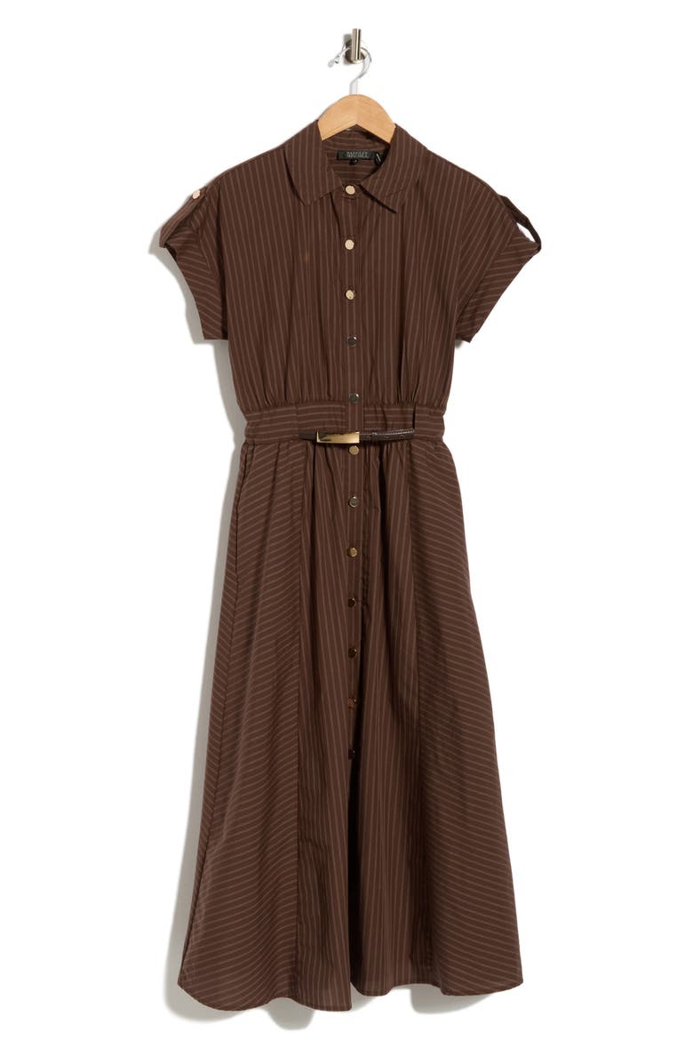 Stripe Short Sleeve Belted Cotton Shirtdress, Alternate, color, BROWN