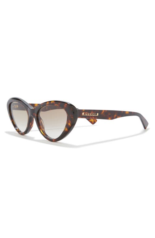 Gucci 54mm Core Cat Eye Sunglasses In Havana Havana Brown