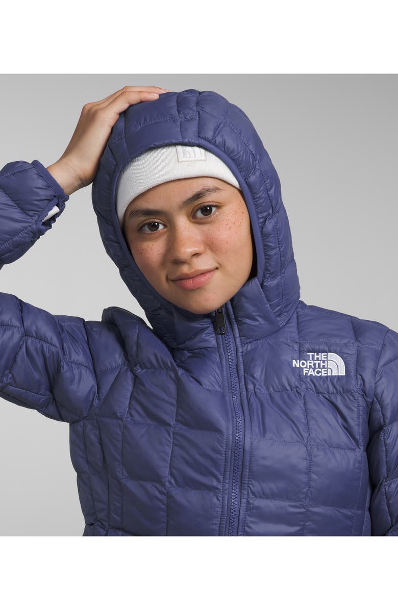 The North Face Kids' ThermoBall<sup>™</sup> Hooded Jacket, Alternate, color, 