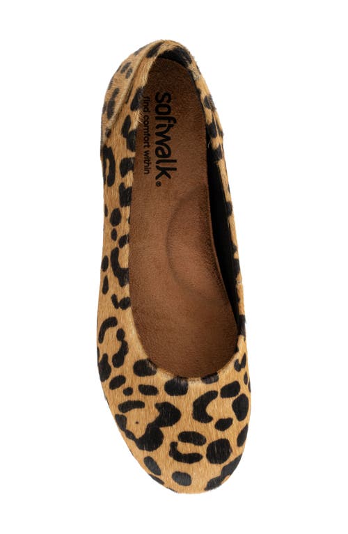 Softwalk ® Sonoma Genuine Calf Hair Flat In Animal Print